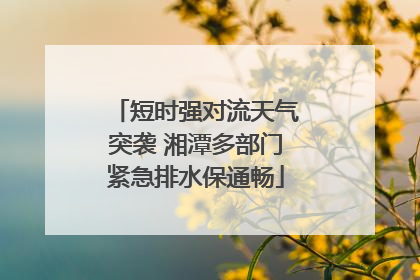 短时强对流天气突袭 湘潭多部门紧急排水保通畅
